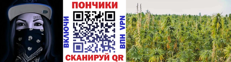 Шишки марихуана марихуана  как найти закладки  ОМГ ОМГ ссылка  Называевск 